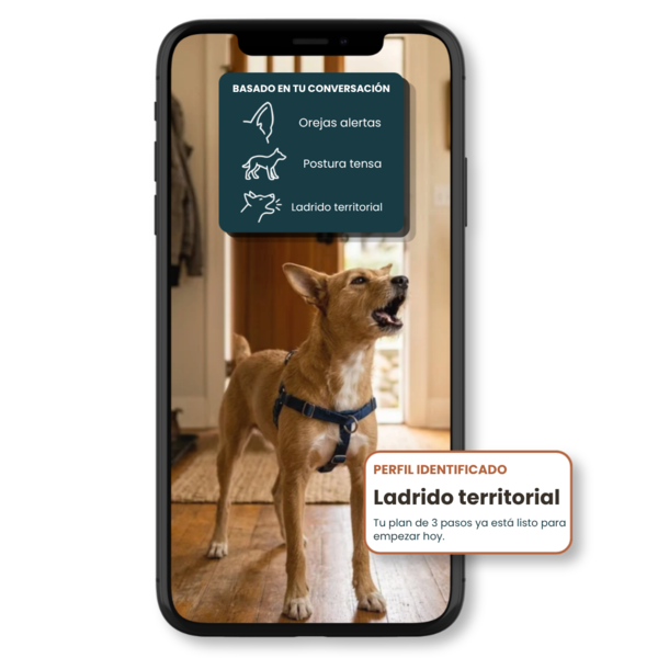 Mockup del Traductor Canino IA mostrando a un perro ladrando alerta hacia la puerta, con el patrón de ladrido territorial y plan de 3 pasos