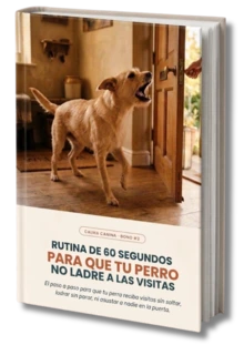 Rutina de 60 segundos para que tu perro no ladre a las visitas