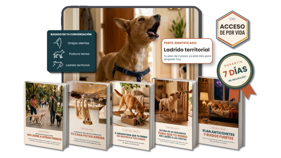 Traductor Canino IA, los 5 bonos, acceso de por vida y garantía de 7 días